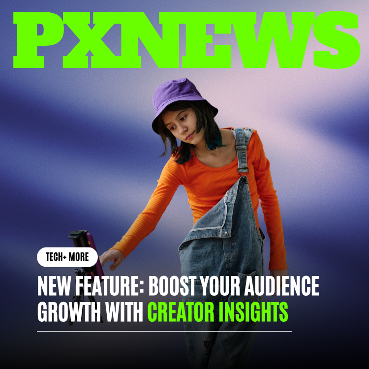 Follower Count Never Told Creators the Truth. Creator Insights Does.